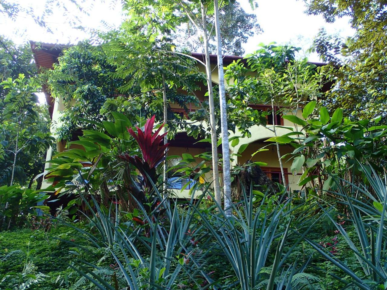 Morrillo Beach Eco Resort Exterior photo