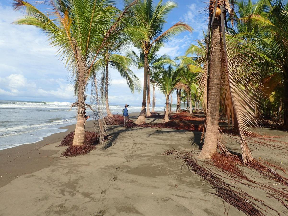 Morrillo Beach Eco Resort Exterior photo